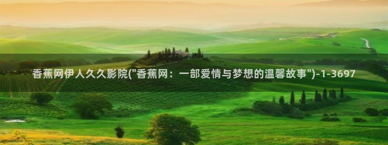 伊人中文网视频